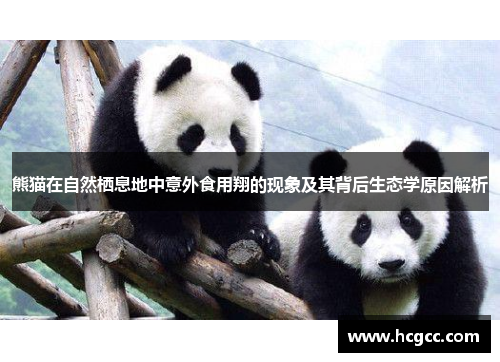 熊猫在自然栖息地中意外食用翔的现象及其背后生态学原因解析